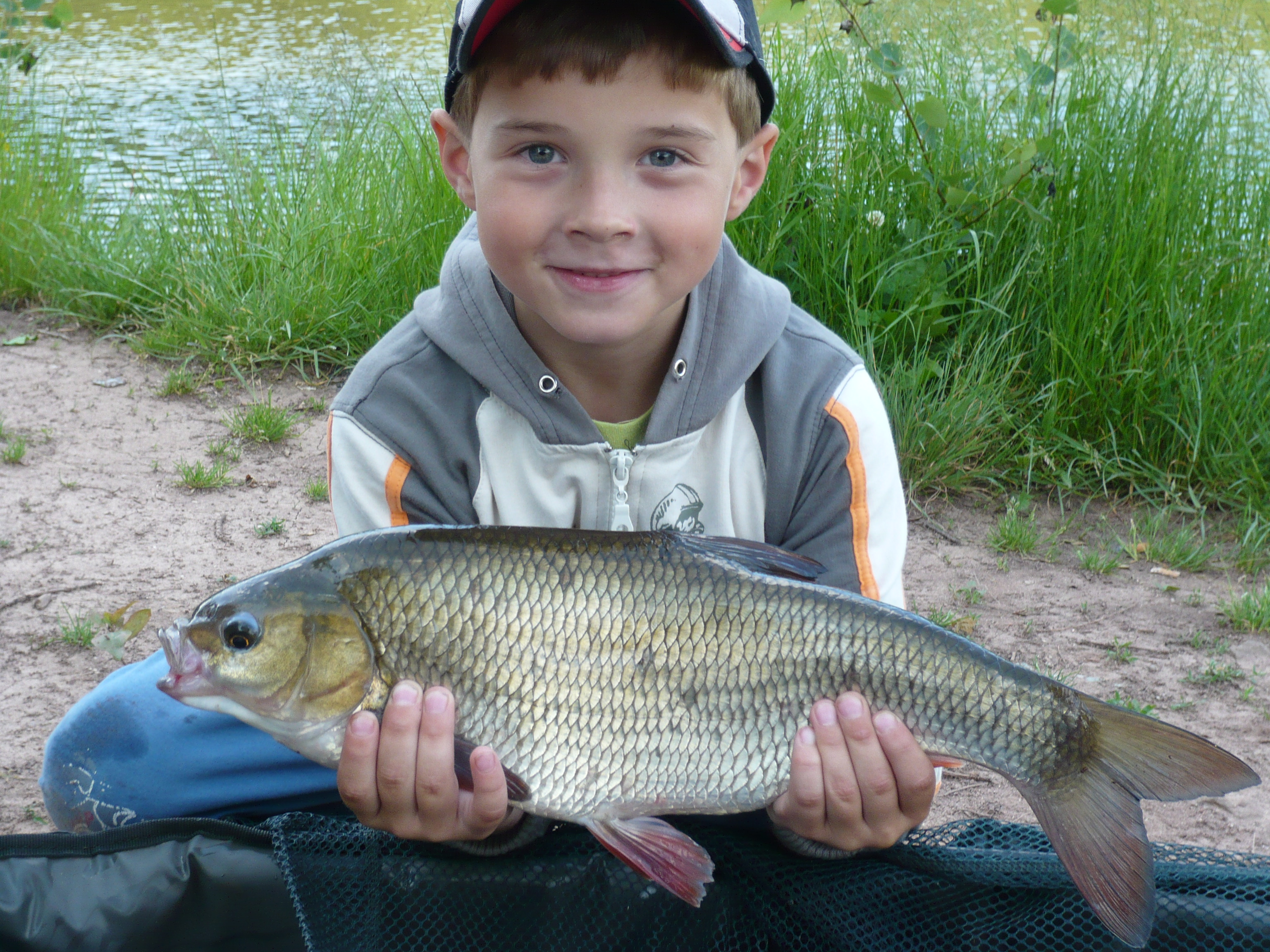 Ryby 290.jpg